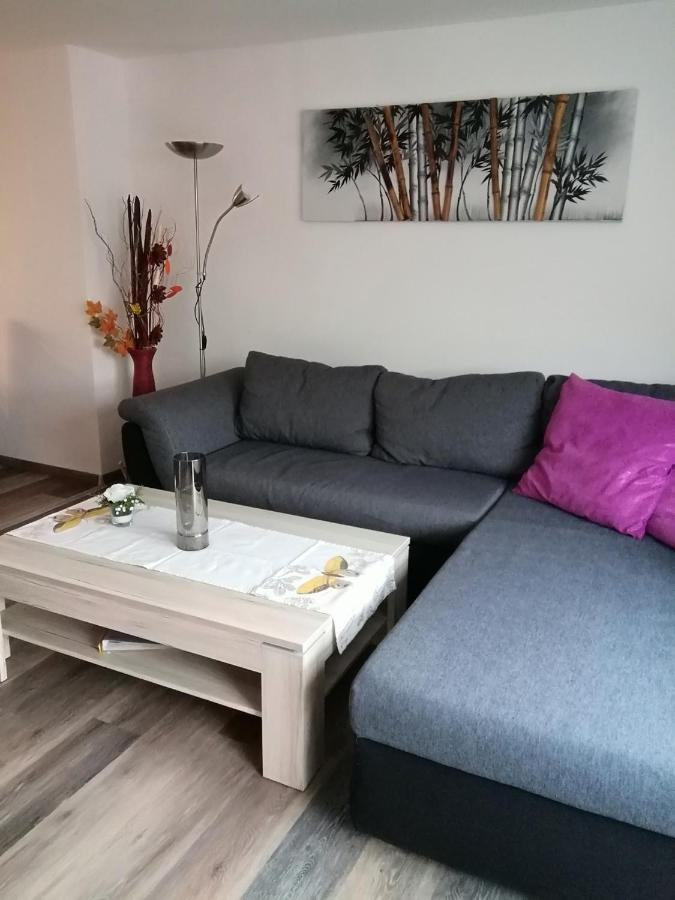 Haus Maisonette Am Harz Niedersachswerfen Екстериор снимка