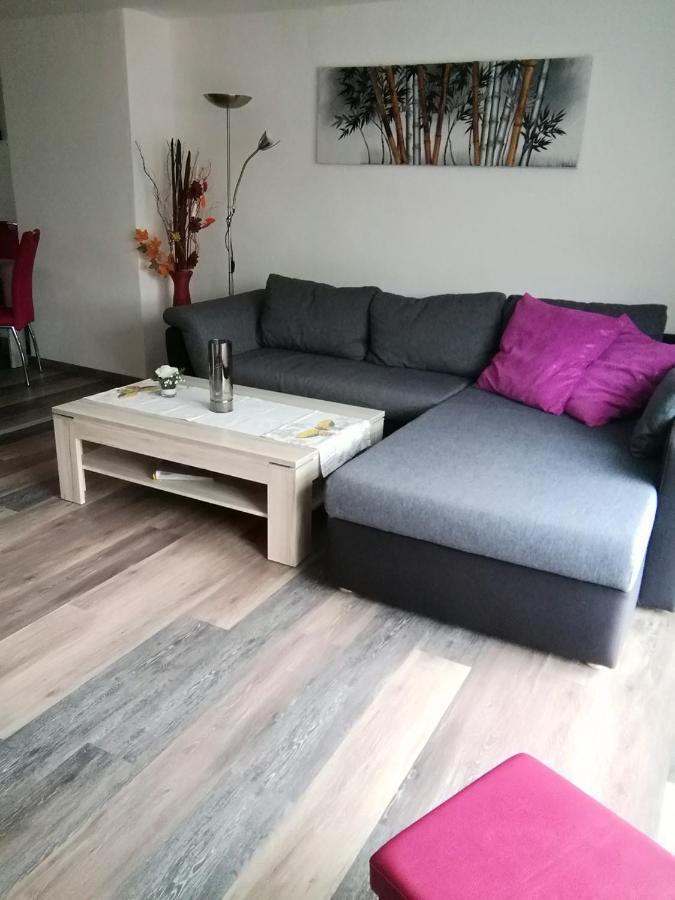 Haus Maisonette Am Harz Niedersachswerfen Екстериор снимка